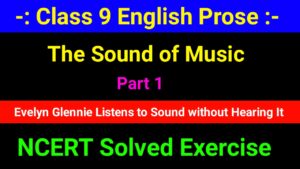 NCERT Solved Exercise of The Sound of Music Part 1 - Evelyn Glennie Listens to Sound Without Hearing It 